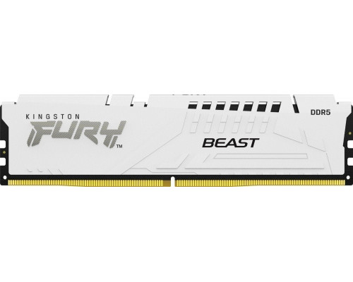 Kingston Fury Beast, DDR5, 16 GB, 6000MHz, CL40 (KF560C40BW-16)