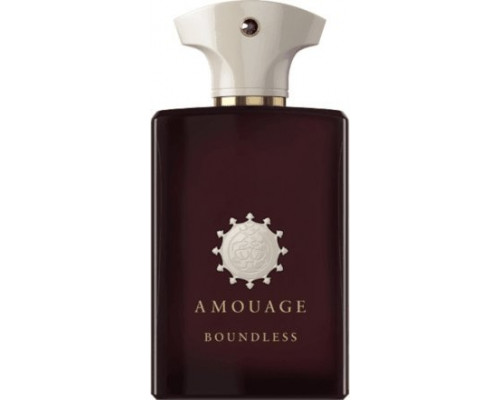 Amouage Amouage, Boundless, Eau De Parfum, For Men, 100 ml For Men
