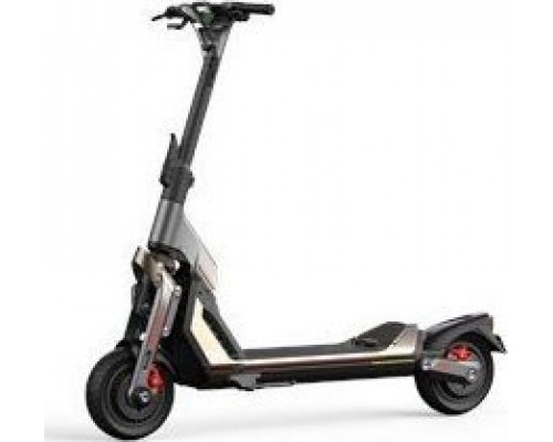 Segway Segway KickScooter GT2P