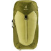 Deuter Deuter AC Lite 30 linden-cactus