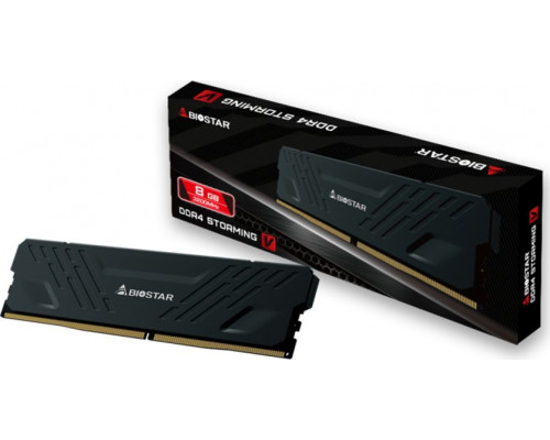 Biostar Storming V, DDR4, 8 GB, 3200MHz, CL16 (DX32NU4H08)