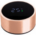 Berlinger Haus INTELIGENTNY TERMOS STALOWY 0.45L Z WSKAŹNIKIEM TEMPERATURY LED BERLINGER HAUS ROSE GOLD BH-7954 Berlinger Haus INTELIGENTNY TERMOS STALOWY 0.45L Z WSKAŹNIKIEM TEMPERATURY LED BERLINGER HAUS ROSE GOLD BH-7954