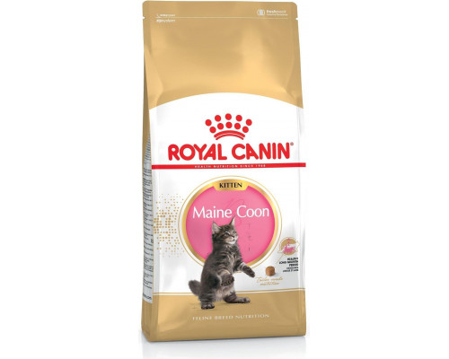 Royal Canin Kitten Food Maine Coon 36 Dry Mix 10kg