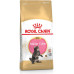 Royal Canin Kitten Food Maine Coon 36 Dry Mix 10kg