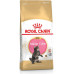 Royal Canin Kitten Food Maine Coon 36 Dry Mix 10kg