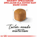 Royal Canin Kitten Food Maine Coon 36 Dry Mix 10kg