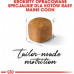 Royal Canin Kitten Food Maine Coon 36 Dry Mix 10kg