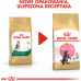 Royal Canin Kitten Food Maine Coon 36 Dry Mix 10kg