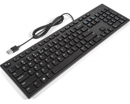 Dell  (KIT,KYBD,104,USEU,KB216-B,L)