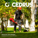 Cedrus CEDRUS WK430X  SPALINOWA DO TRAWY PODKASZARKA WYKASZARKA 1.8 KM EWIMAX - OFICJALNY DYSTRYBUTOR - AUTORYZOWANY DEALER CEDRUS