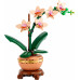 Botanicals Small Orchid (10343)