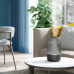 PHILIPS Humidifier Series 1000 Up to 41 m2 3 settings grey