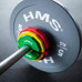 TSN UZLIKU DISKU KOMPLEKTS 2 x 0.25 - 1 KG (3.5 KG) HMS  