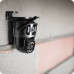 Zintronic ICS224TL-30V1