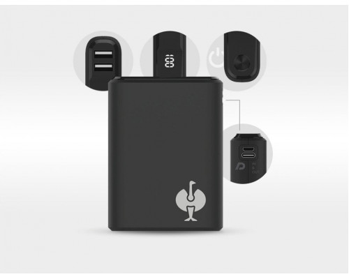 RealPower PB-10000 PD+ black Strauss Edition