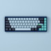 Varmilo Muse65 HE Aurora 65% RGB gaming keyboard