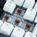 Sharkoon SKILLER SGK50 S3 (wei. DE-Layout. Gateron Brown)