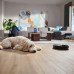 Philips 7000 series Seria Aqua 7000 XU7000/01 i mopujący