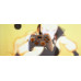 Konix Naruto Nintendo Switch/PC white Controller