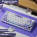 AK820 Pro Gift Switch Purple-White-Blue-3 model-RGB