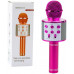 Bezprzewodowy Karaoke Z Głośnikiem Bluetooth Rose LEAN Toys