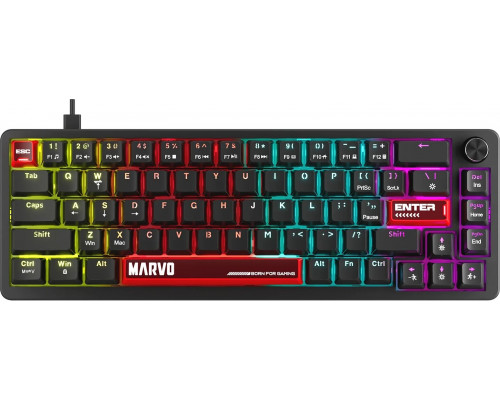 Marvo Arma 67 TNT Peach (KG935)