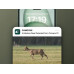 Reolink Fotopułapka Talon Series T130 Camouflage