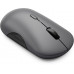 Lenovo 700 Multi-Device Wireless Silent Mouse | Wireless | 2.4G, Bluetooth 5.3 | Luna Grey