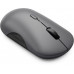 Lenovo 700 Multi-Device Wireless Silent Mouse | Wireless | 2.4G, Bluetooth 5.3 | Luna Grey