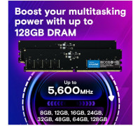 DDR5 32GB/5600 CL46 (16Gbit) Tray