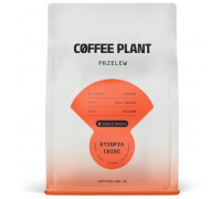 COFFEE PLANT Etiopia Chire 250g