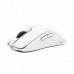 BENQ Zowie Mouse Gaming Gear FK2-DW Glossy