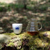 Coffeelab The Barn - kawa ziarnista Kostaryka Volcan Azul Omniroast 250 g (2101020575)