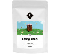 19grams 19grams - kawa ziarnista Spring Bloom Washed Filter 250 g