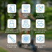 Motus Scooty 10 Max