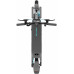 Motus Scooty 10 Max