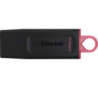 Pendrive Kingston DataTraveler Exodia, 256 GB  (DTX/256GB)