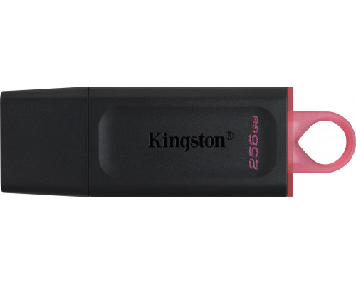 Pendrive Kingston DataTraveler Exodia, 256 GB  (DTX/256GB)