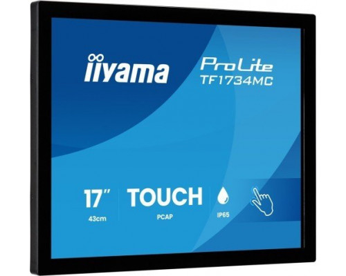 iiyama ProLite TF1734MC-B8X