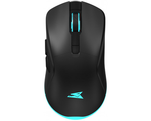 Gamingowa Baracuda Turtle 3200 DPI RGB czarna (TURTLE-B)
