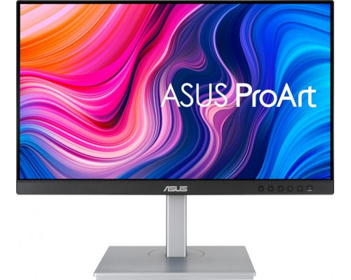 Asus ProArt PA247CV (90LM03Y1-B01370)