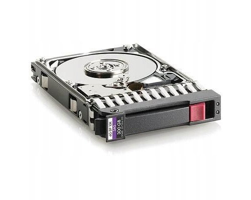 HPE 300 Gb SAS 10.000Rpm 2.5 Inch