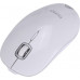 Marvo DWM101WT