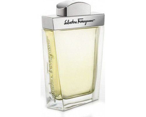 Salvatore Ferragamo Pour Homme EDT 100 ml