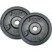 Best Sporting Cast iron Black 2x1,25 kg Fi 30mm