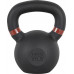 inSPORTline Powder cast iron 14 kg