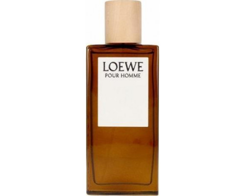 Loewe Pour Homme EDT 100 ml