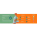 Quokka Quokka Solid Kids with strap - of steel stainlessj 330 ml with belt (Zebras)