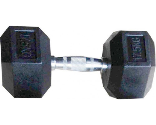 SKO Sešstūra gumijas hantele TOORX 17.5kg  