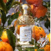 Guerlain GUERLAIN AQUA ALLEGORIA MANDARINE BASILIC (W) EDT/S 125ML REFILLABLE